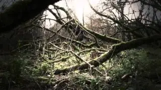 SINFUL SOULS - Rotten Hearts