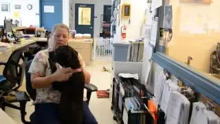 Behind the Scenes: Napa County Animal Shelter - Episode 1