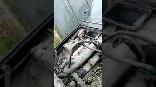Volvo 340 DL diesel
