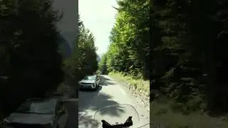 Relax Road Vibes | Slovenia Mountain
