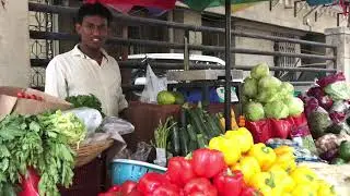 STEM anti plastic campaign