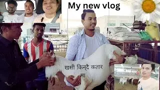 Goat market || khasi market || buying a goat for celebration of enjoy party | doha | Qatar |