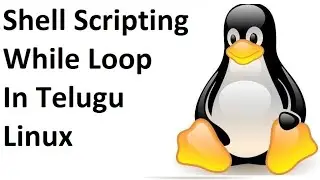 Shell Scripting Part-5 || While Loop In Kali Linux Or Linux In Telugu 2020