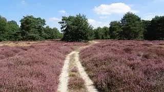 1609 Beegden (Limburg NL) 11 km