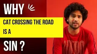 WHY CAT CROSSING THE ROAD IS A SIN ? | INFORMATION VIDEO | MASALA TALKS | CAT FACTS
