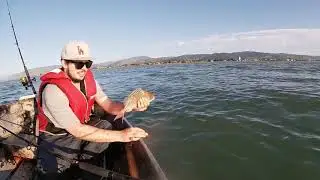 Kapiti Snapper fishing in the dinghy