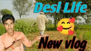 🥰 Desy Life ।। My New Vlog ।। Gav ka najara !