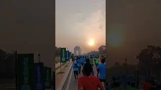 Delhi Half Marathon #trending #delhi #halfmarathon #runner #shorts  #running #viral #vdhm2023