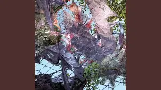 Haunted Gate