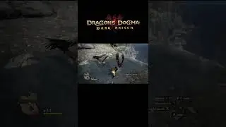 We were fighting monsters, he was fighting demons😔 #dragonsdogma #rpg #capcom #videogames #funny
