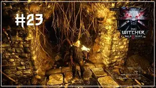 The Witcher 3 | Spanish Gameplay | Episode 23: Contract with the Beast of the Forest