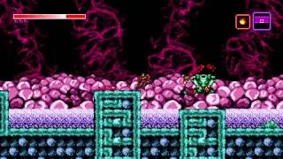 Axiom Verge slug health node
