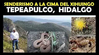 Ascenso a la cima del Xihuingo ( Zona arqueológica, Petrograbados, Flora & Fauna 🐍🦂🦇)
