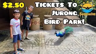 How To Get $2.50 Tickets to Jurong Bird Park! Special Promotion Local Residents, Singapore