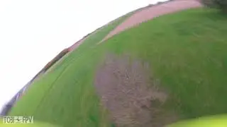 Fly my Bandokiller