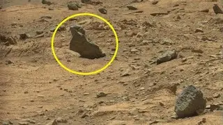 NASA's Curiosity Rover on Sol 4251 Captured this on Martian Surface #curiosity