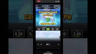 WinBet penguin style 3 scatters