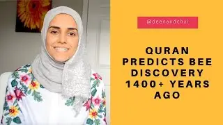 The Miracle of Bees in The Quran