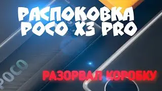 Распаковка POXO X3 PRO &mdash; РАЗОРВАЛ КОРОБКУ!!!