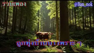 Compilation of beautiful Luk Thung (Thai country) songs.