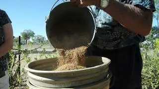 Unearth Etheridge - Visit the Gem Den, Mt Surprise