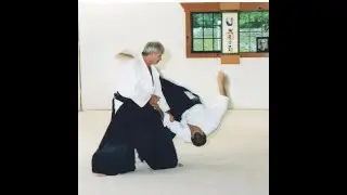 falling in Love with AIKIDO