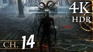 Elden Ring - [4K/60fps HDR] (Platinum, Exploration) Walkthrough Part 14 - Tombsward Catacombs