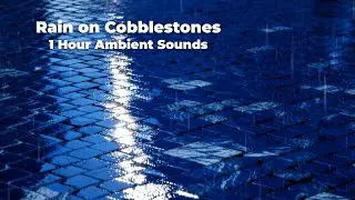 Rain on Cobblestones Cobalt Blue 🌧️ 1 Hour Ambient Calm