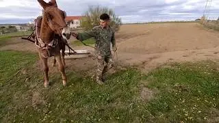 Arando en los Pedroches con Mul@s... (tutorial básico aracia)
