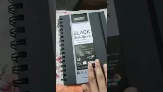 Brustro Black 200gsm #sketchbook #price 297 #flipkart #viral #ytshorts #artcraft #painting #acrylic
