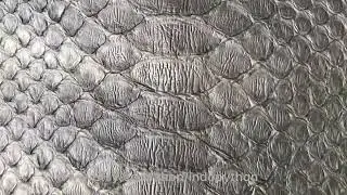 Black python bag, black snakeskin purse