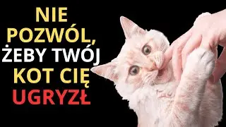 Twój kot cię gryzie? Oto co to naprawdę oznacza