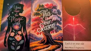 2026 will be your Year #RichAF status unlocked🔓 Collective Tarot Reading ⚖️🌌🌕