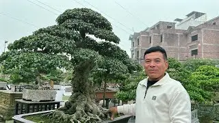 TIỆC TẤT NIÊN HỘI NHỮNG NGƯỜI YÊU CÂY CHƯƠNG MỸ MỞ RỘNG, khu lk Lộc Ninh Chương Mỹ HN | Quảng Tùng