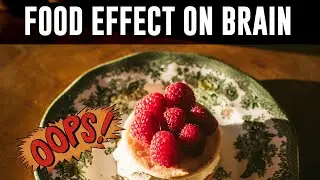 How Food Affects Your Brain