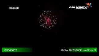 Maxsem Fireworks GWM6602 New Times (66 shots) #fireworks #fireworkssupplier #fyp
