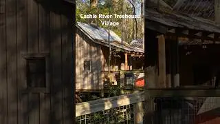 Cashie River Treehouse Village #northcarolina #camping #treehouse ouse #kayaking #fishing