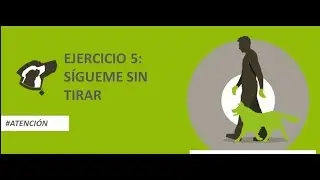 CÓMO ENSEÑAR A TU PERRO A SEGUIRTE SIN TIRAR 🔥, SÓLO 5 MINUTOS!! ⏰  (Ejercicio 7)