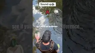 DIY motion decoy comparison