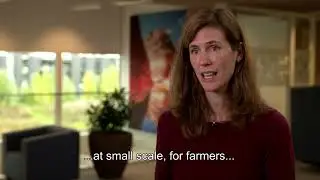 Improving water management techniques in the banana sector