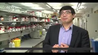 Chinese bank helps fund UK bio-science research