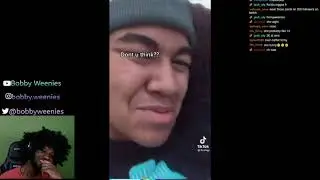 Hotdog Reacts to 