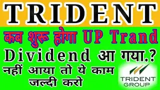 Trident share latest News | Trident share News #trident #dividend