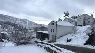 Sabugueiro coberto de neve - 4k