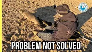 Seal Rescued from Fishing Line - but the Problem Isn&rsquo;t Solved