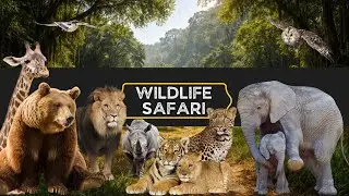 ABC Prehistoric Safari Animals Song | A&ndash;Z Adventure with Giant Ancient Animals | Dragon Kids
