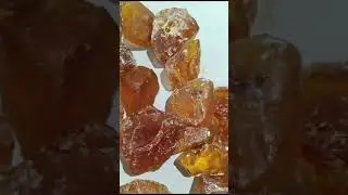 amber rough from poland mines