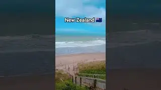 Beach view 🪟 in New Zealand 🇳🇿