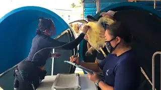 Turtle-riffic Tuesday Behind the Scenes