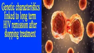 Genetic characteristics linked to long term HIV remission after stopping treatment